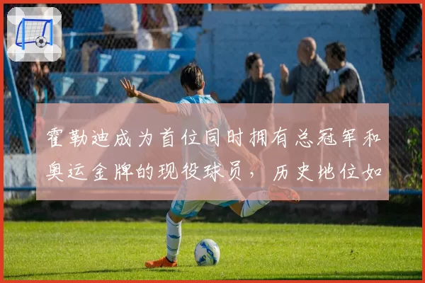 霍勒迪成为首位同时拥有总冠军和奥运金牌的现役球员，历史地位如何？